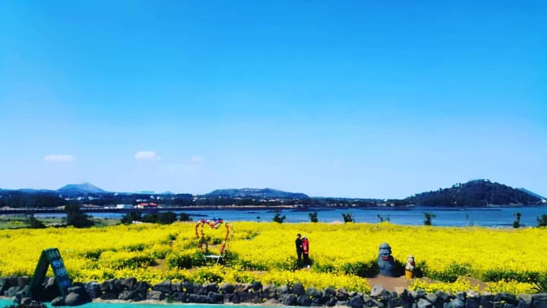 Seongsan Ilchulbong Pension Jeju Exterior photo